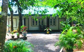 Drongo Place